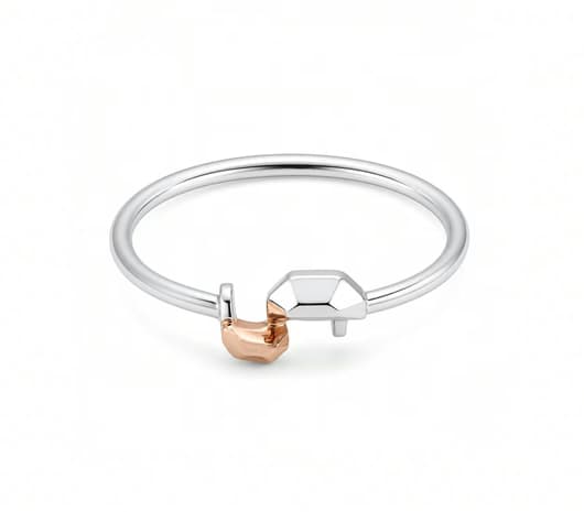 Modern Fusion Platinum Ring